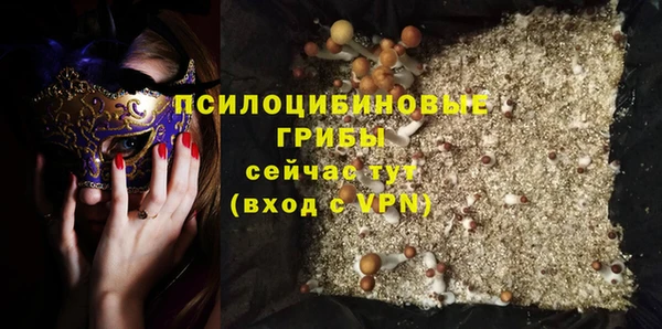 кокс Бородино