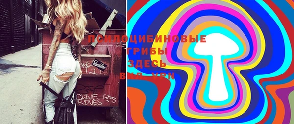 кокс Бородино