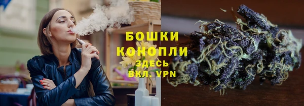 кокс Бородино