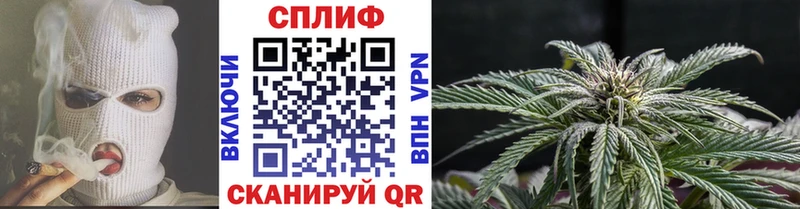где купить наркоту  Красавино  Канабис MAZAR 